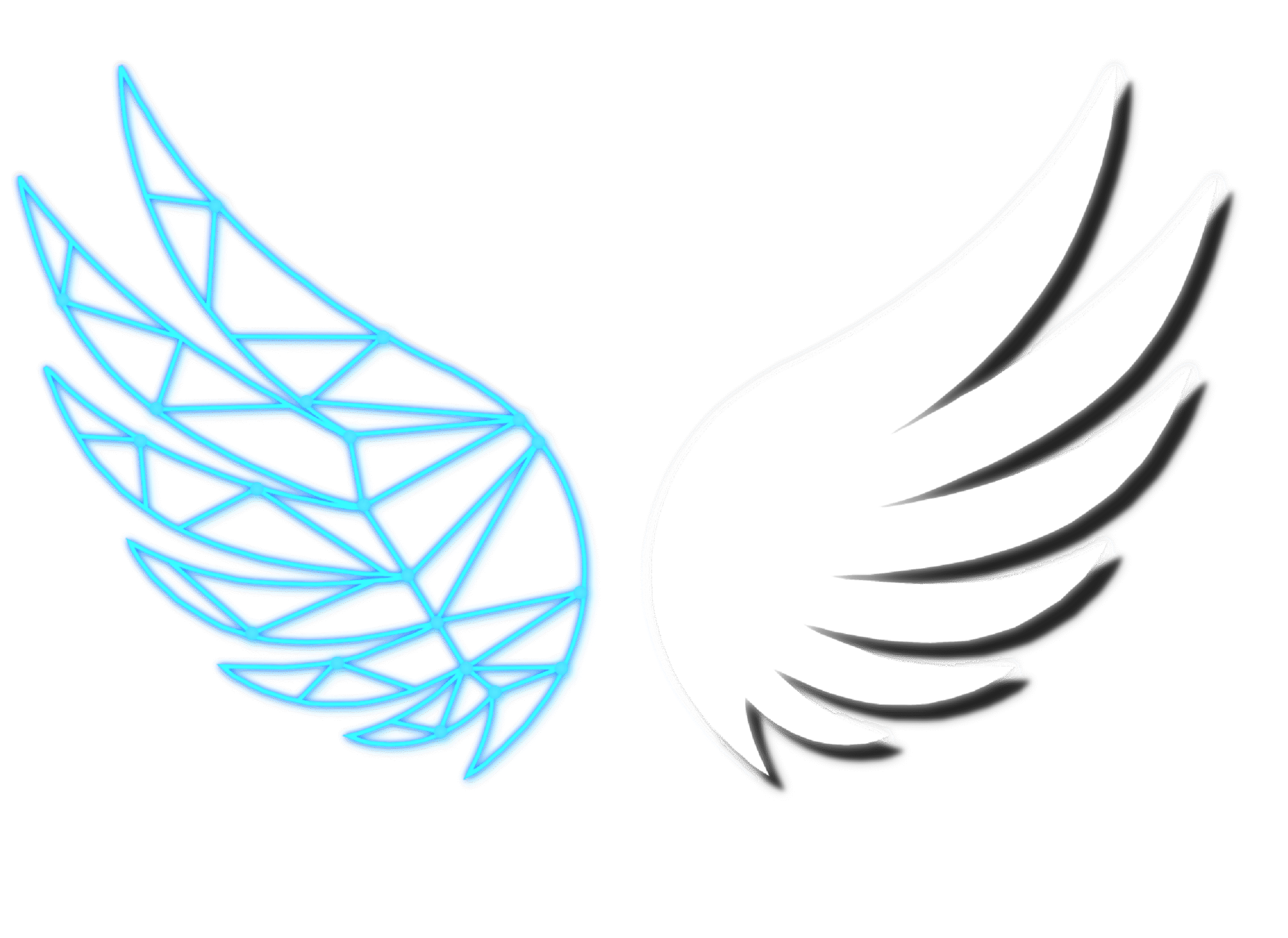 Mobil Uyumlu Kanat Görseli